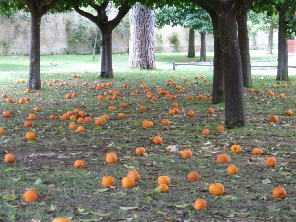 Collection: Giardino Degli Aranci