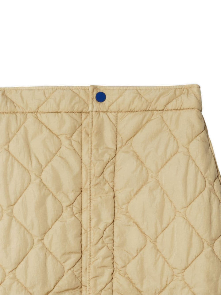 Burberry Equestrian Skirts