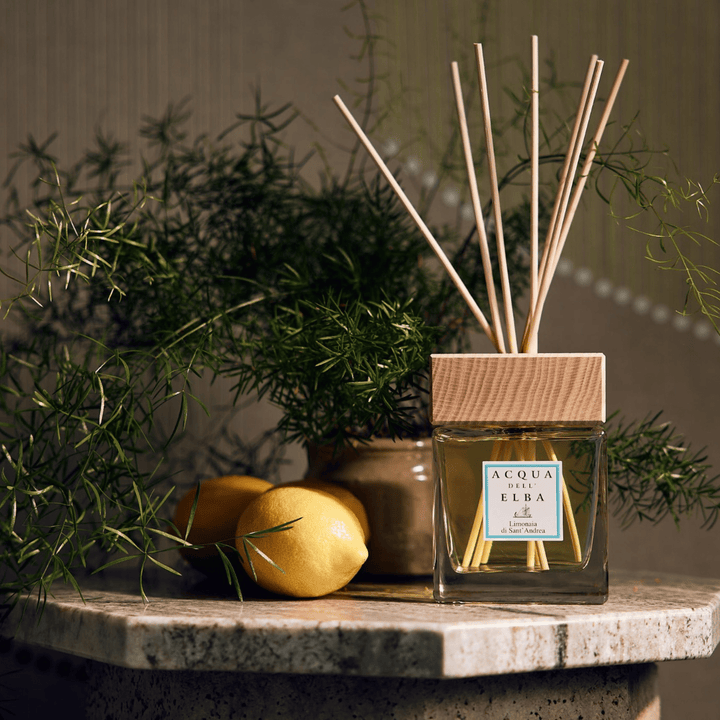 Acqua Dell'Elba Home Diffuser Acqua Dell'Elba Limonaia Di Sant'Andrea Fragrance Large Diffuser 84,5 fl.oz 2.5 L Brand