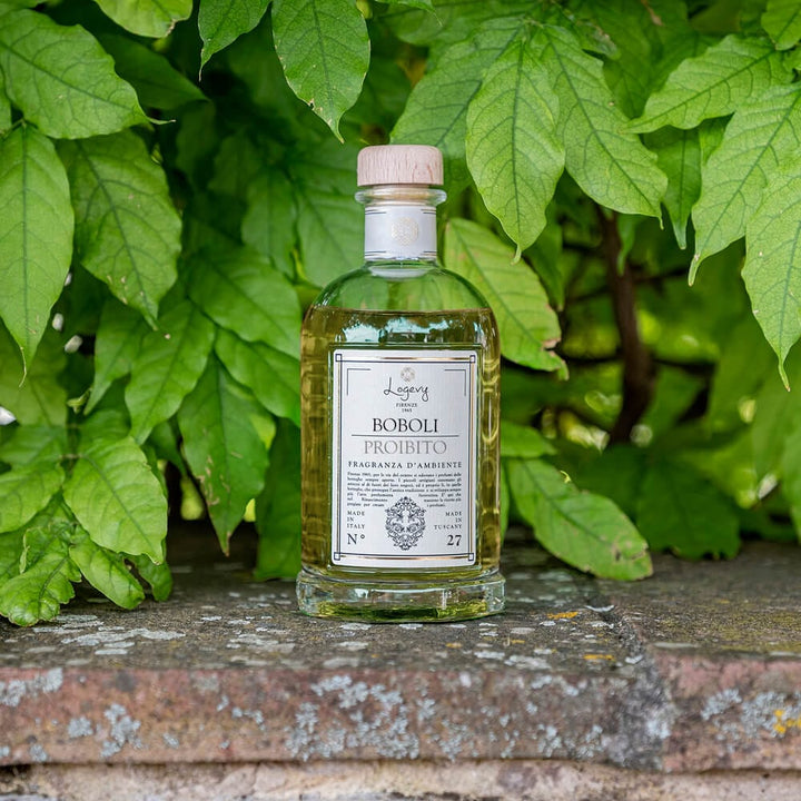 Home Diffuser Logevy Boboli Forbidden Home Fragrance Brand