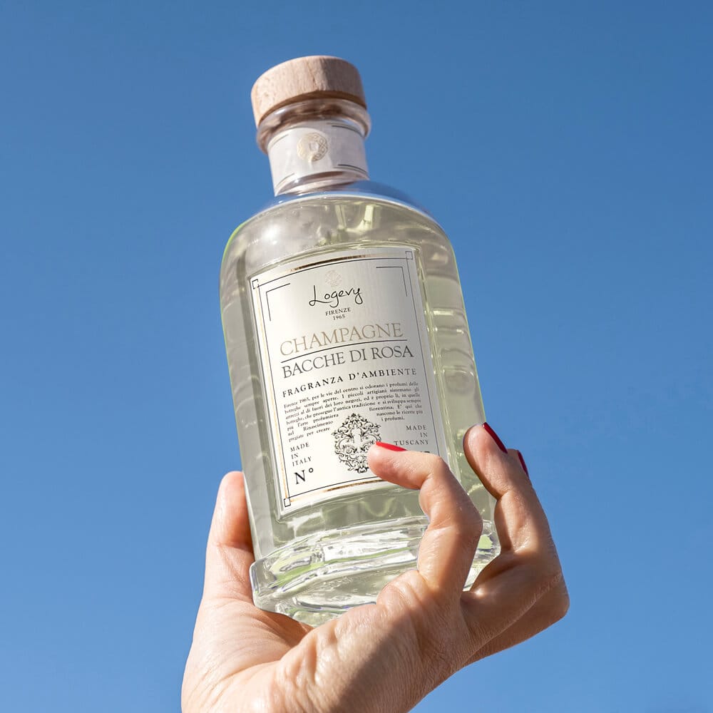 Home Diffuser Logevy  Champagne and Rose Berries Home Fragrance Brand