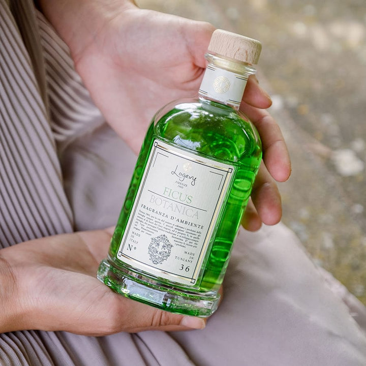 Home Diffuser Logevy Ficus Botany Home Fragrance Brand