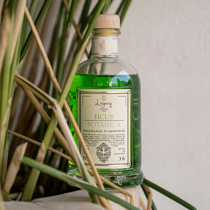 Home Diffuser Logevy Ficus Botany Home Fragrance Brand