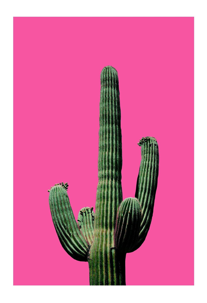 Canvas Print Large		80x110cm / Black Fluro Cactus Fluro Cactus Framed Print Brand