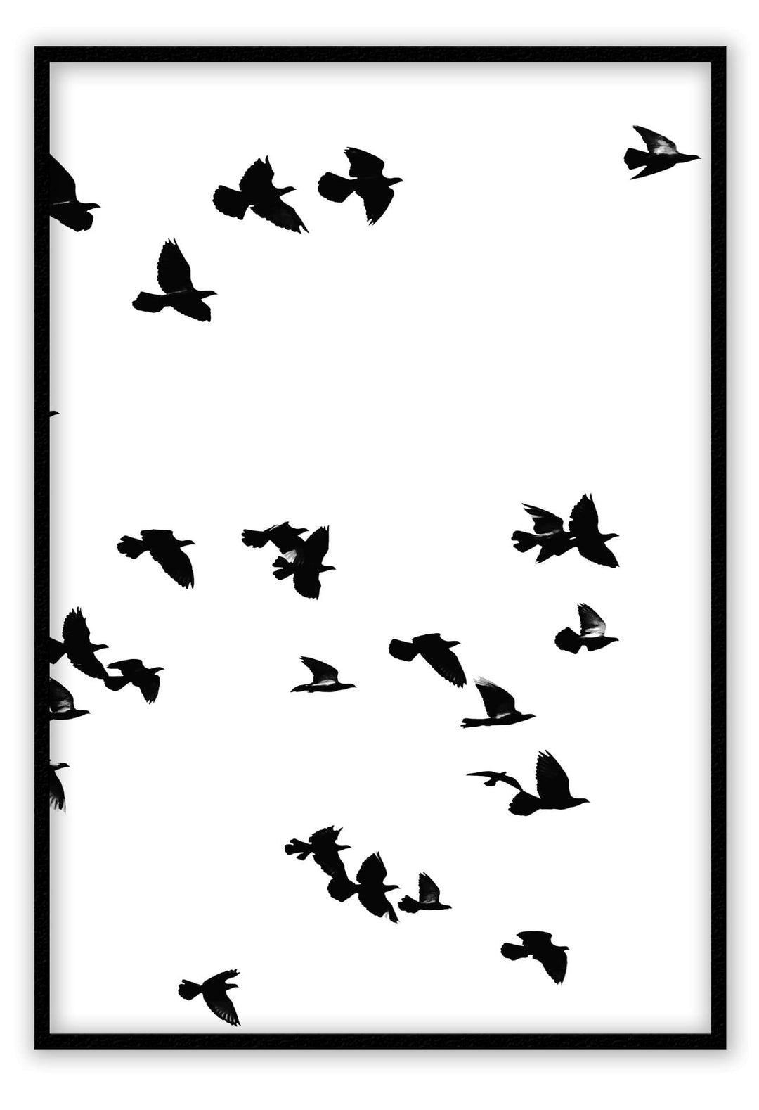 Canvas Print Small		50x70cm / Black Sky birds II Sky Birds  Framed Prints Brand