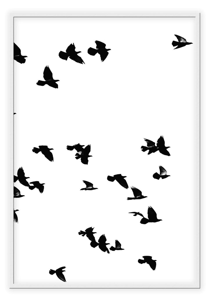 Canvas Print Small		50x70cm / White Sky birds II Sky Birds  Framed Prints Brand