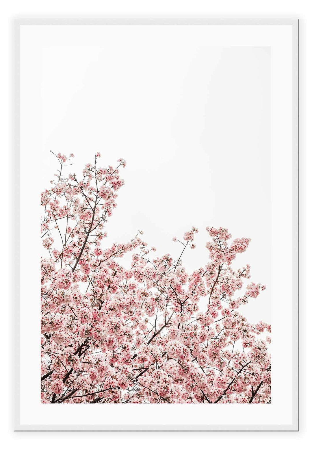 Canvas Prints 50x70cm / White Central Park Central Park Wall Art : Ready to hang framed artwork. Brand